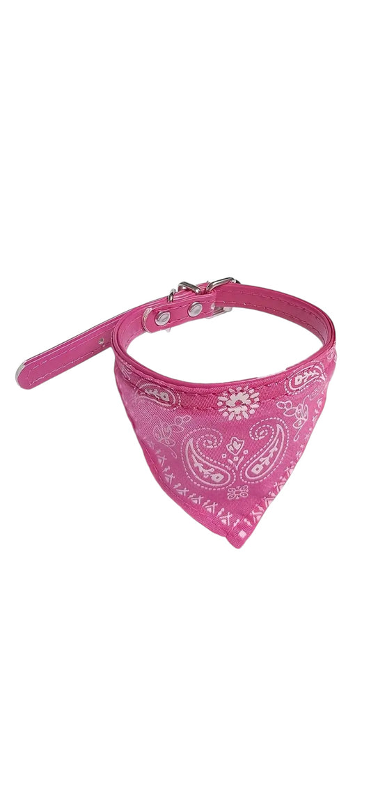 Barney Dog Collar with Bandanna