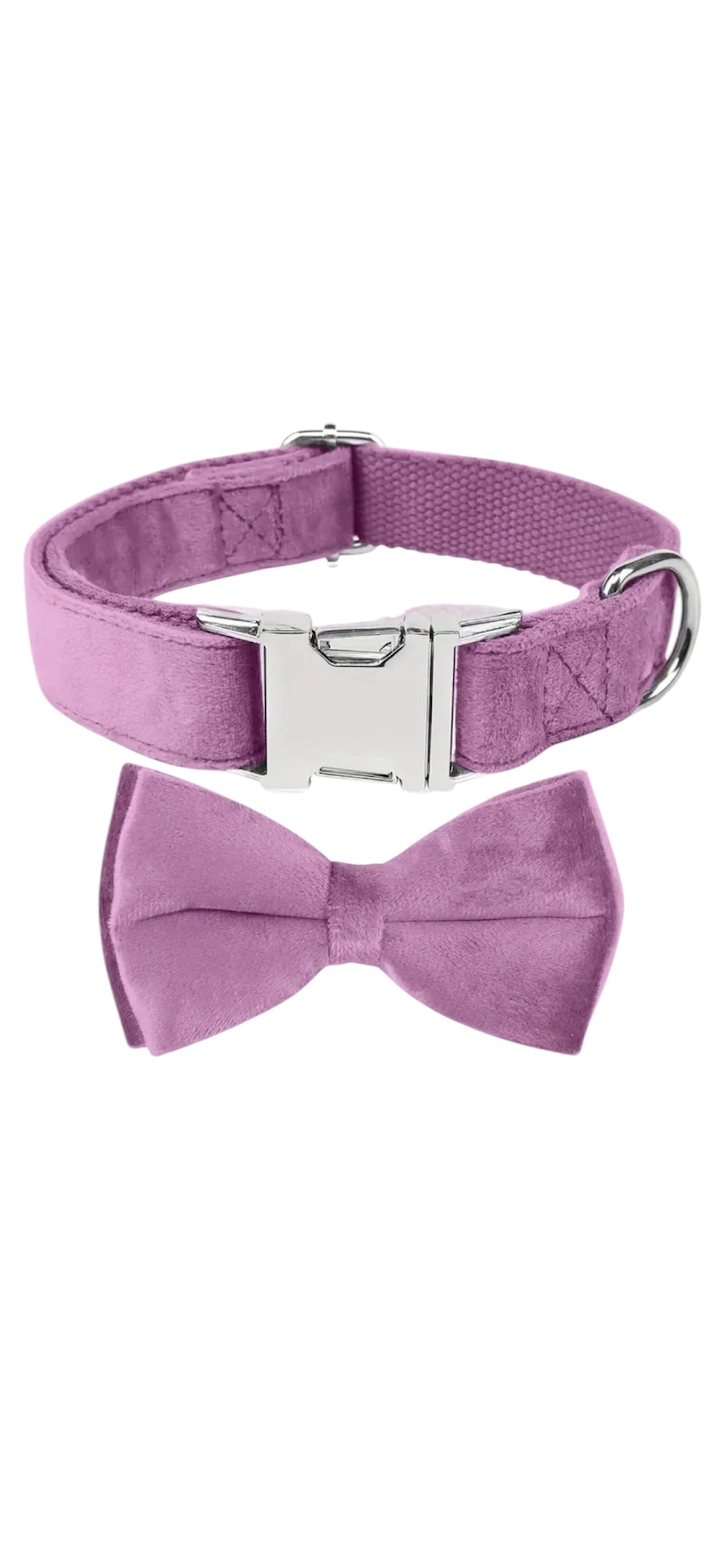 Velvet Collar & Bow Tie - Purple