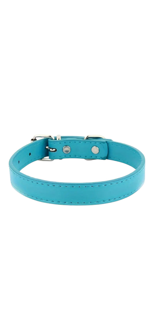 The Pawfect Pooch Collar - Sky Blue