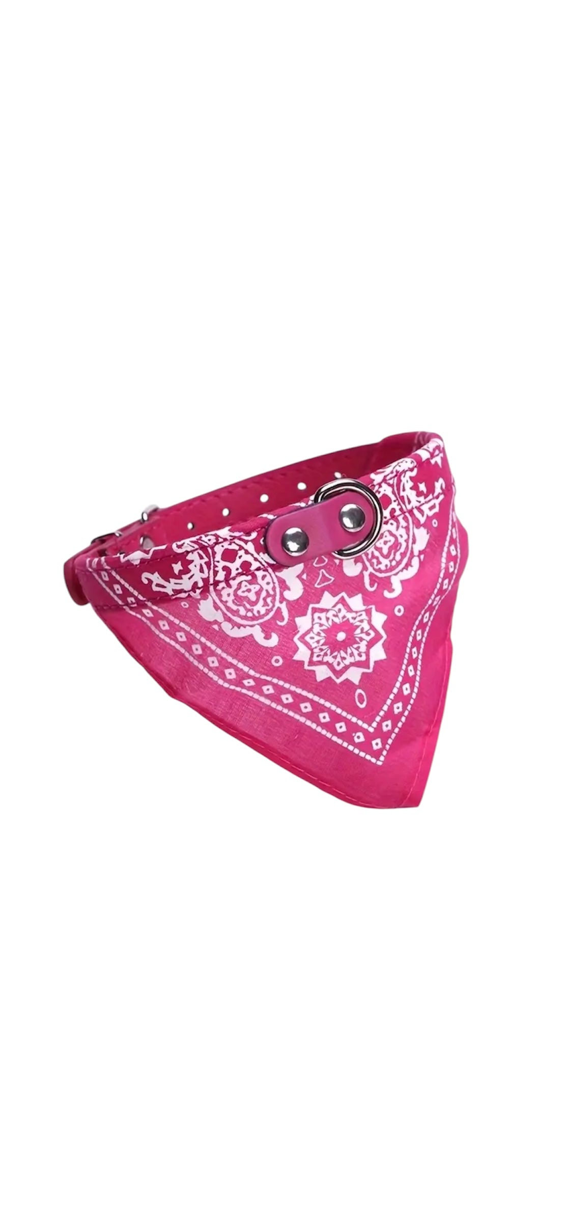 Barney Dog Collar with Bandanna