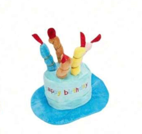Cake Hat & Birthday Bandana