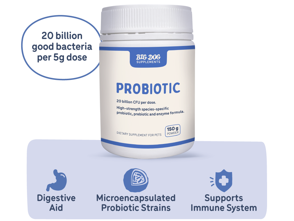 Big Dog Probiotics