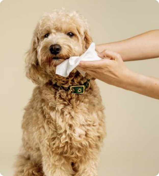 Squeaky Sensitive Probiotic Wipes 20pk