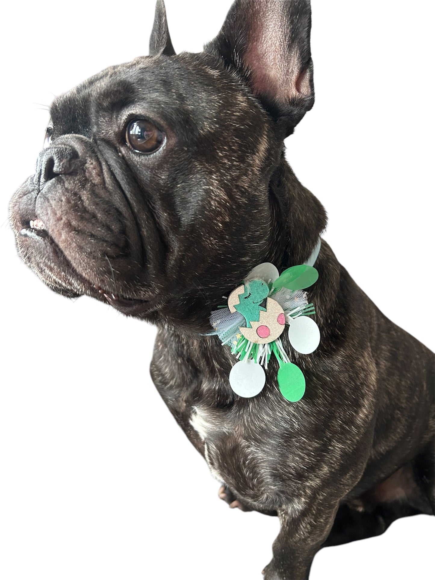 Easter Dog Bow Tie