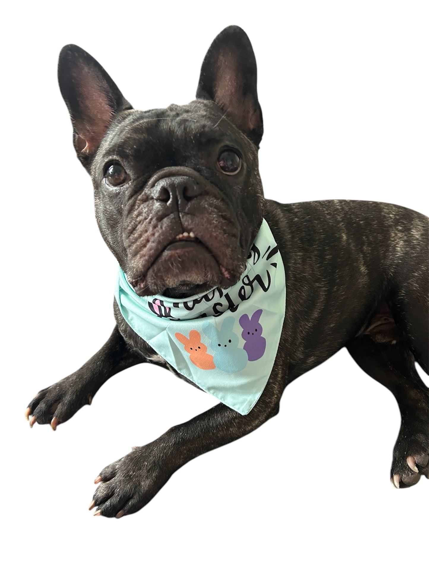 Happy Easter Dog Bandana