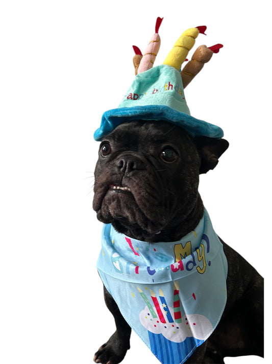 Cake Hat & Birthday Bandana