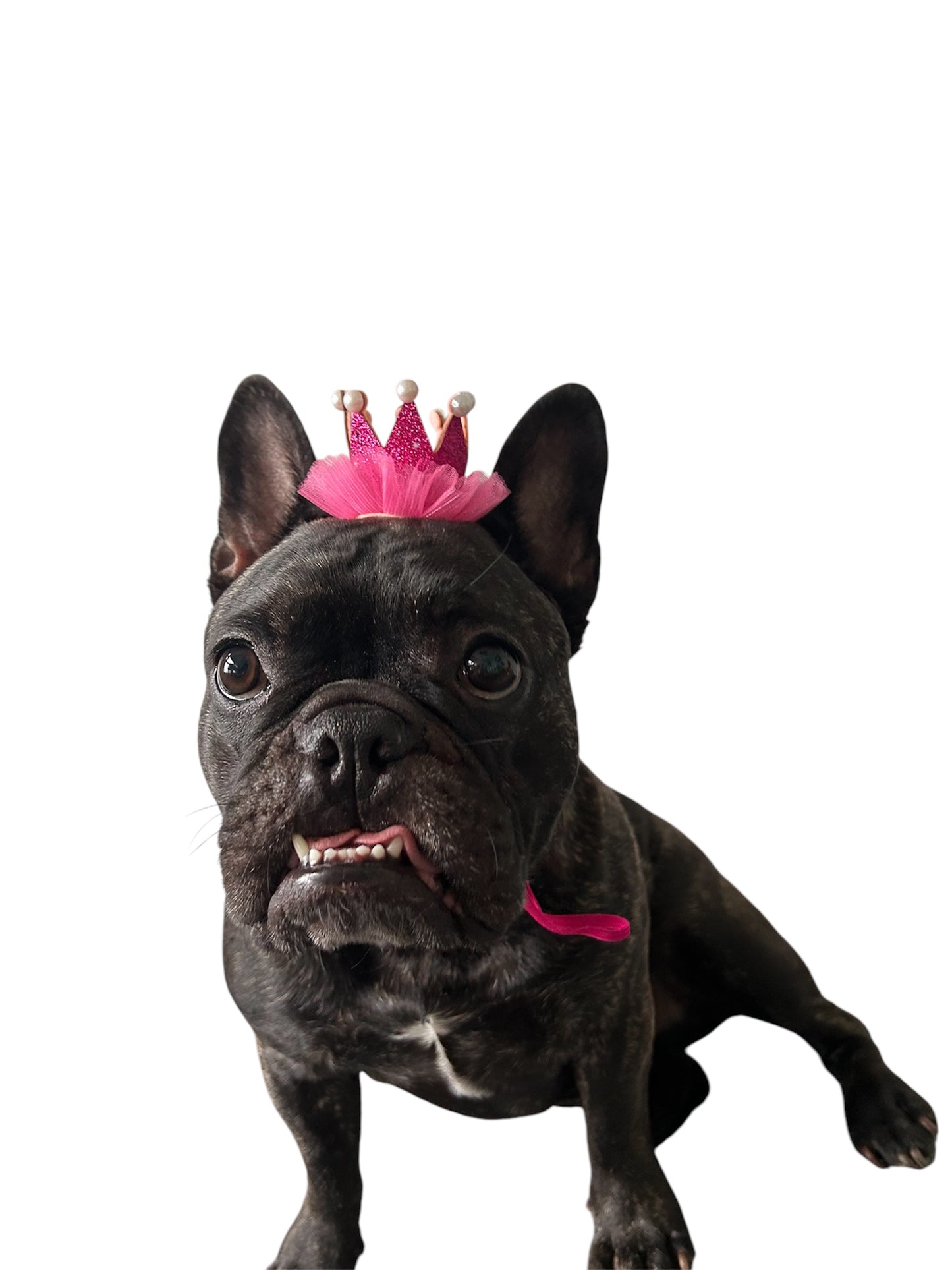 Birthday Crown