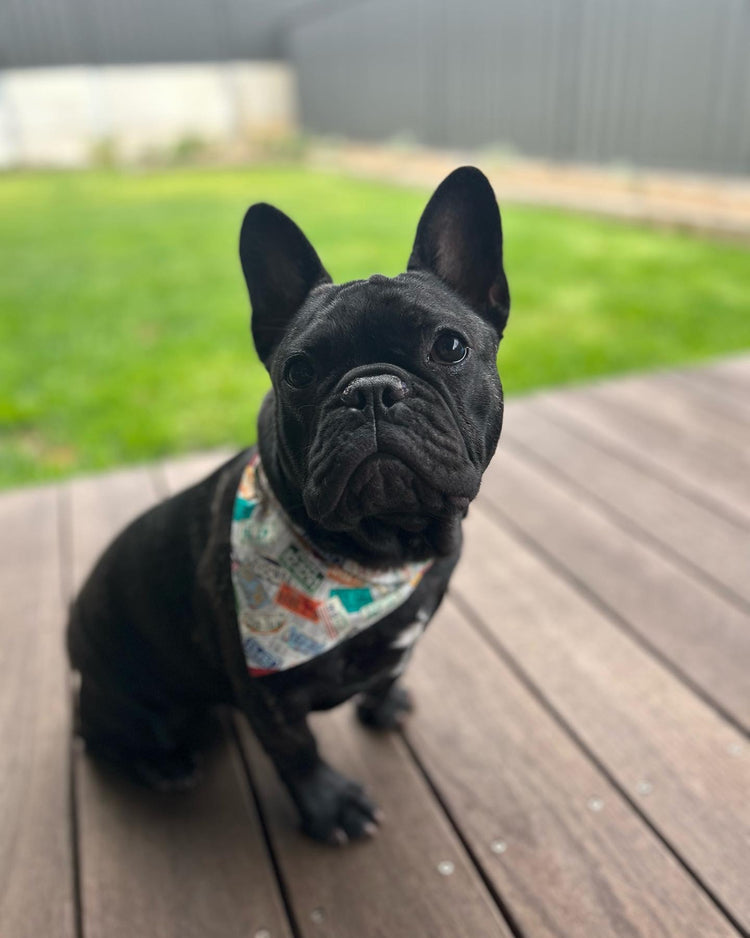 Bandanas and Bow Ties