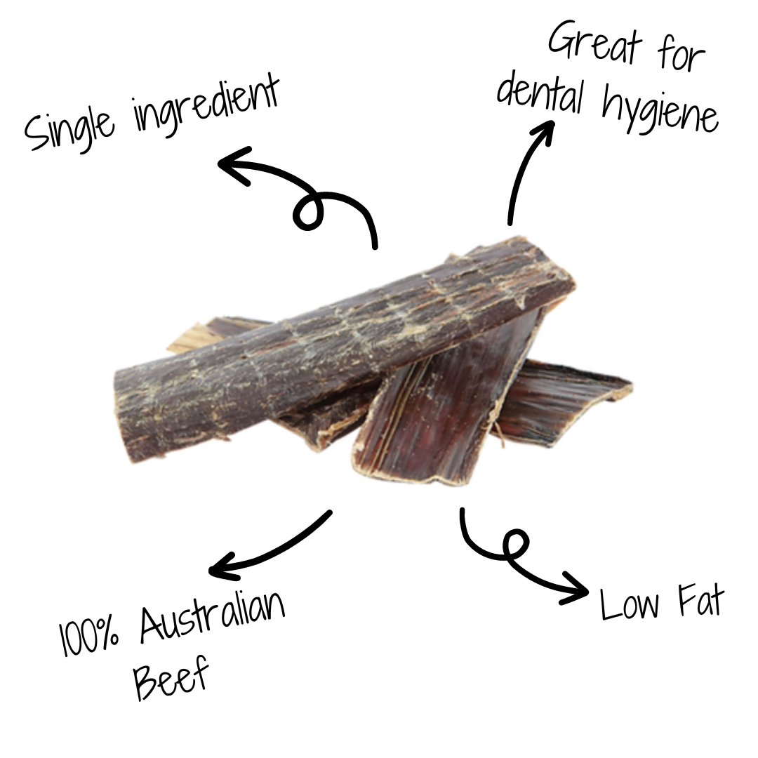 Single Ingredient Dog Treats Australia 