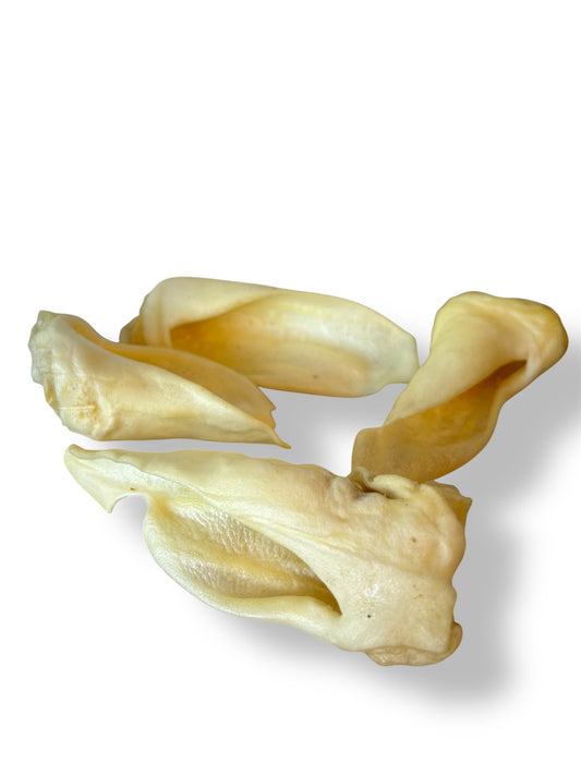 Lamb Ear Dog Chew