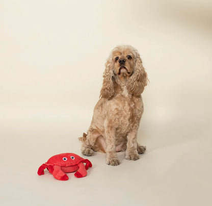 Just a little Crabby Dog Toy by Fringe Studio - The Pawfect Patisserie