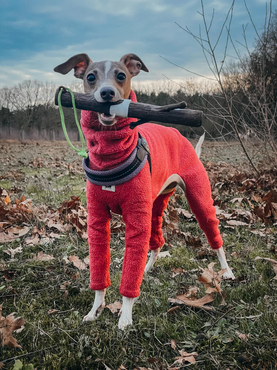 Doog Stick Family Toys- Woody - The Pawfect Patisserie