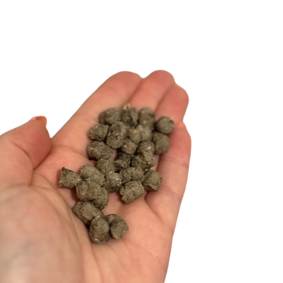 Mini Fish Bites Dog Treats 100g