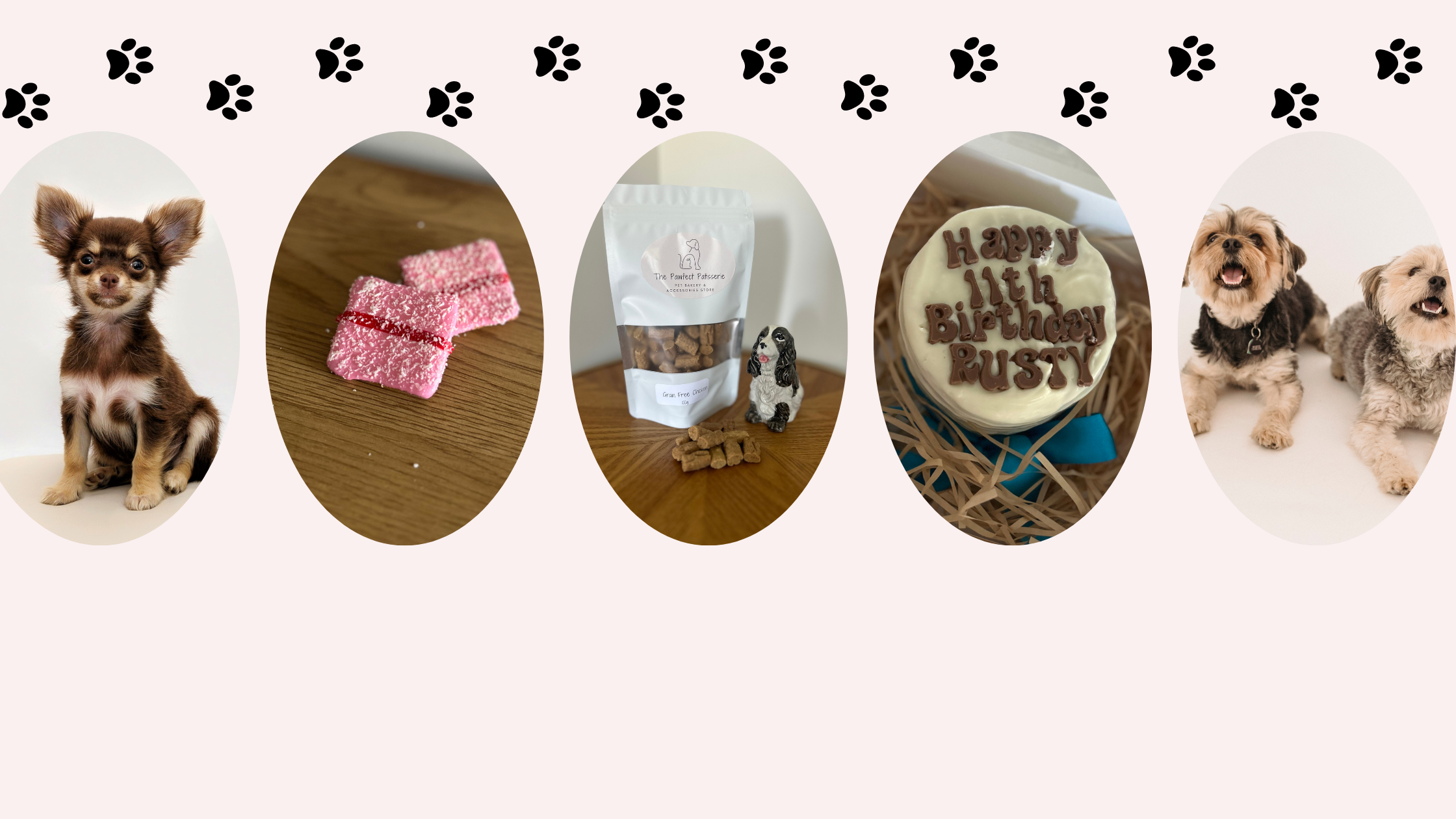 The Pawfect Patisserie The Best Australian Dog Treats