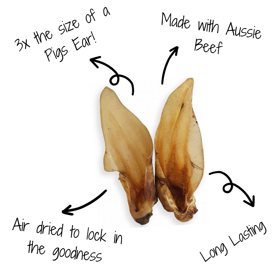 Australian Jumbo Beef Ear