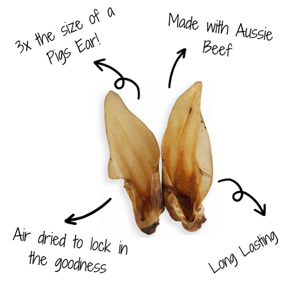 Australian Jumbo Beef Ear