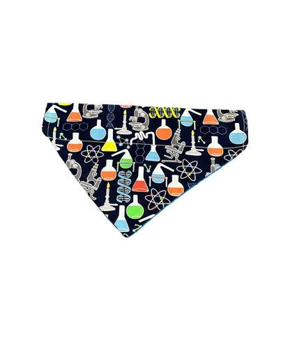 Little Einstein Reversible Bandana - thepawfectpatisserie