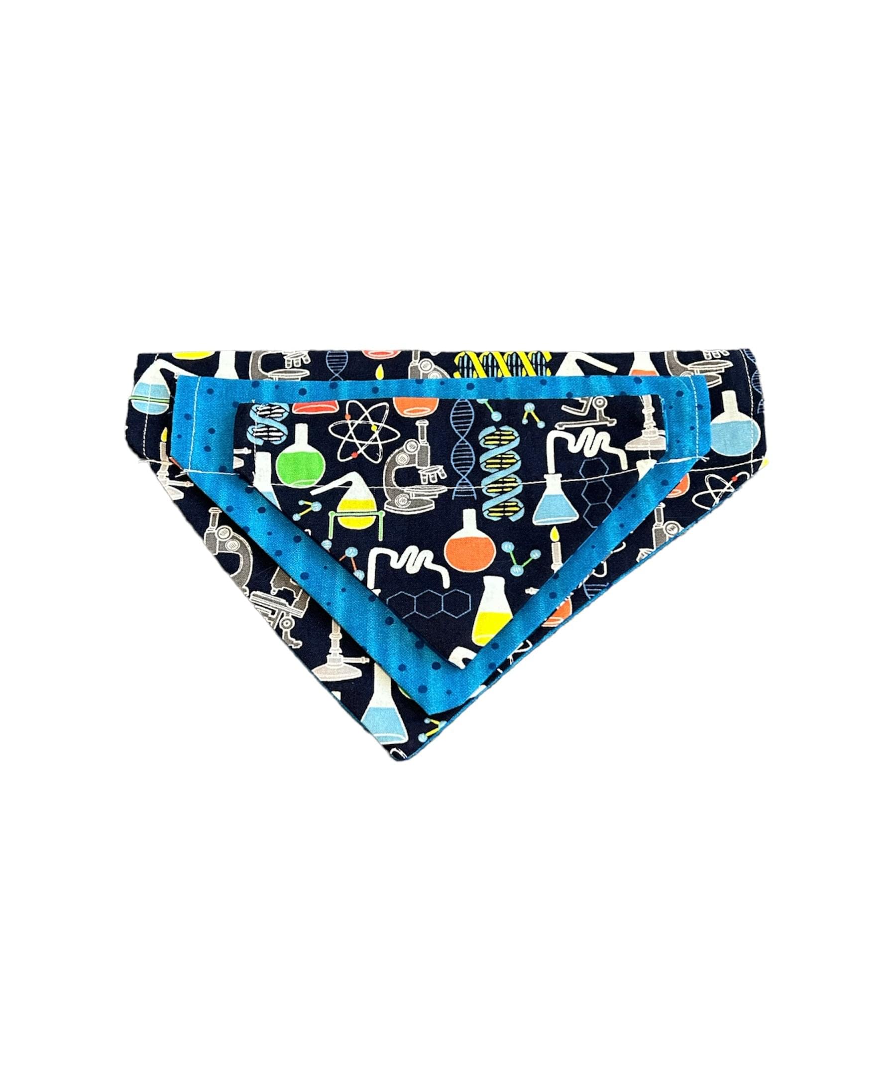 Little Einstein Reversible Bandana - thepawfectpatisserie