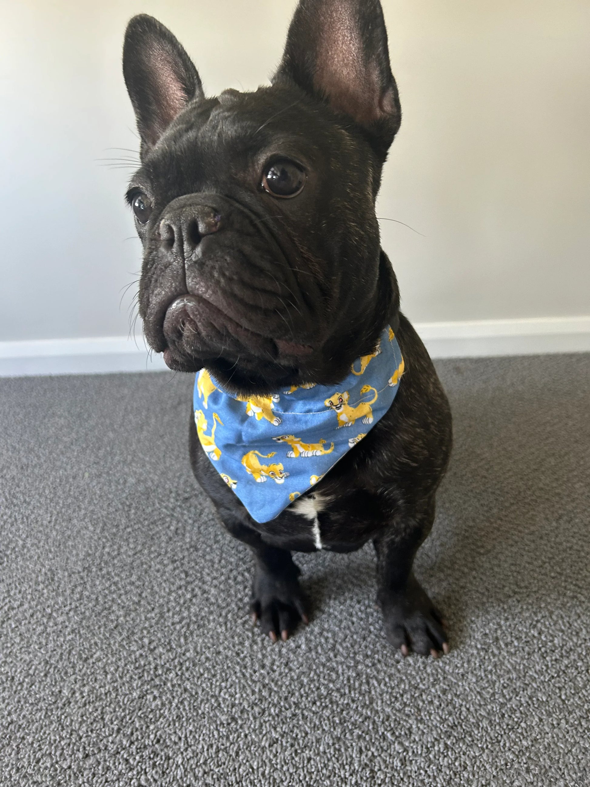 Simba Lion King Reversible Bandana thepawfectpatisserie